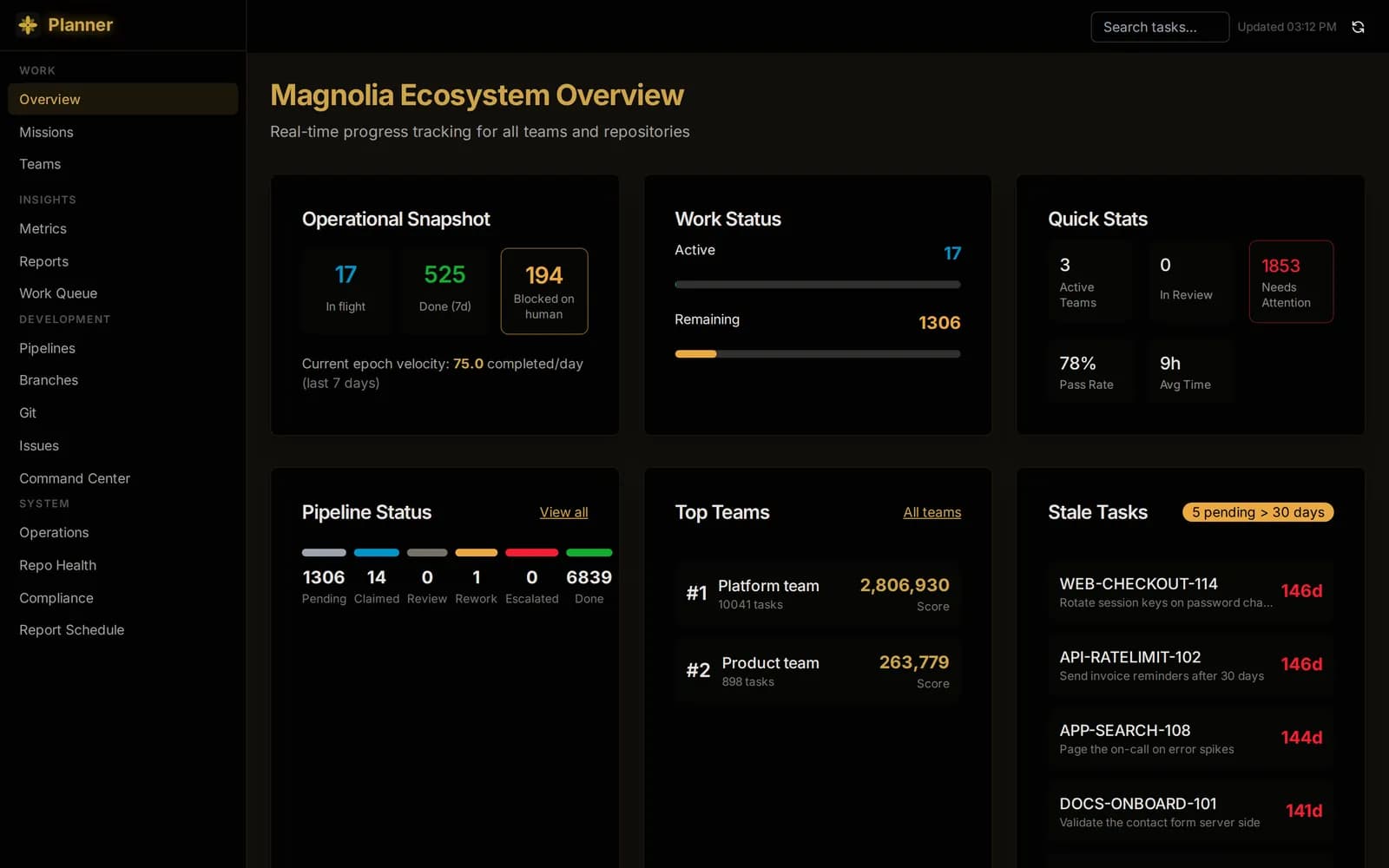 Overview page with cards for work in flight, remaining work, quick stats, build status, the leading groups and stale tasks.